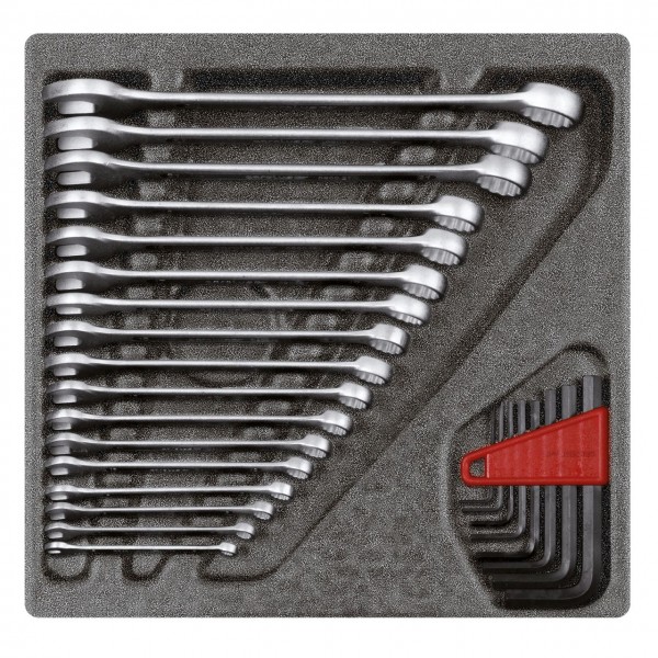 Gedore red Ringsteeksl.-set 4/6 CT-module, 25-dlg - R22250000