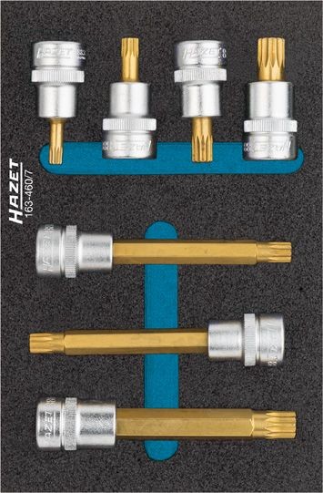 Hazet Schraubendreher-Steckschlüsseleinsatz-Satz - Vierkant hohl 10 mm (3/8 Zoll) - Innen Vielzahn Profil XZN - Anzahl Werkzeuge: 7 - 163-460/7