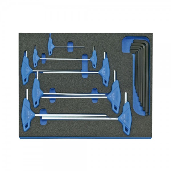 Gedore Check-Tool inserto con assortimento - 2005 CT2-DT 2142