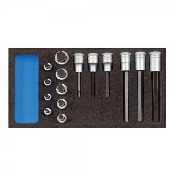 Gedore Satz Schraubendrehereinsätze 1/2" in Check-Tool-Modul - 1500 CT1-IN 19 LKM
