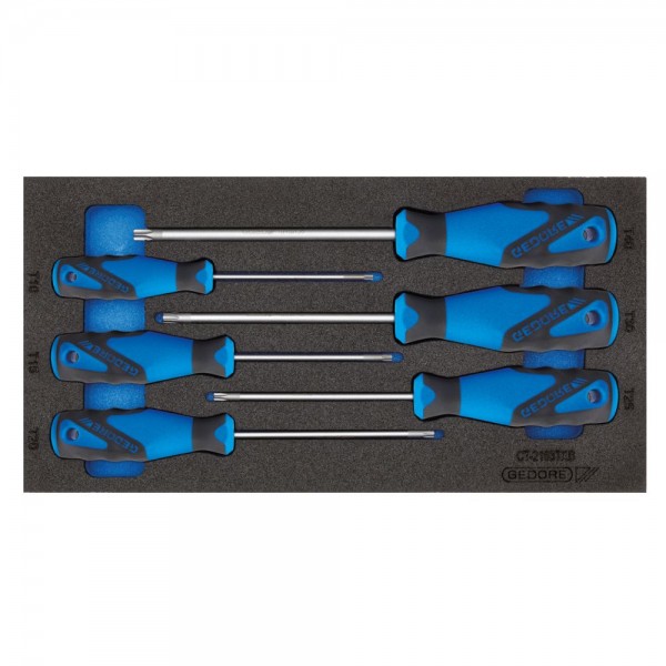 Gedore Check-Tool inserto con assortimento - 1500 CT1-2163 TX