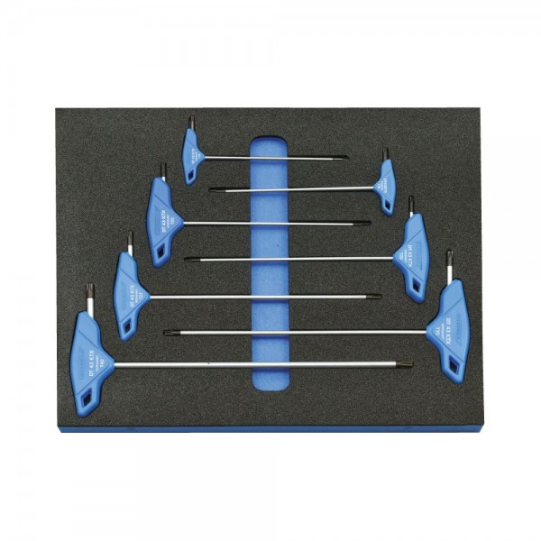 Gedore Check-Tool inserto con assortimento - 2005 CT2-2143 KTX