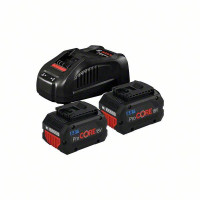 Bosch Professional Starter set 2 x 5,5 Ah + GAL 1880 CV - 1600A0214C