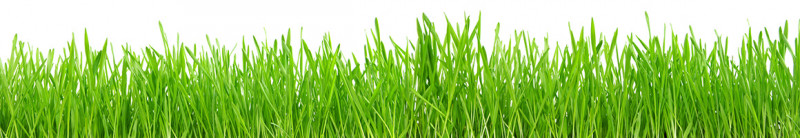 media/image/1160x200-einhell-grass2.jpg