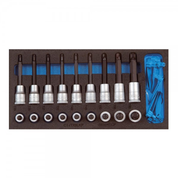 Gedore Satz Schraubendrehereinsätze 1/2" in Check-Tool-Modul - 1500 CT1-ITX 19 LKP